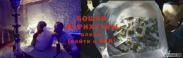 шишки Алексеевка